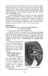1956 Chev Truck Manual-054